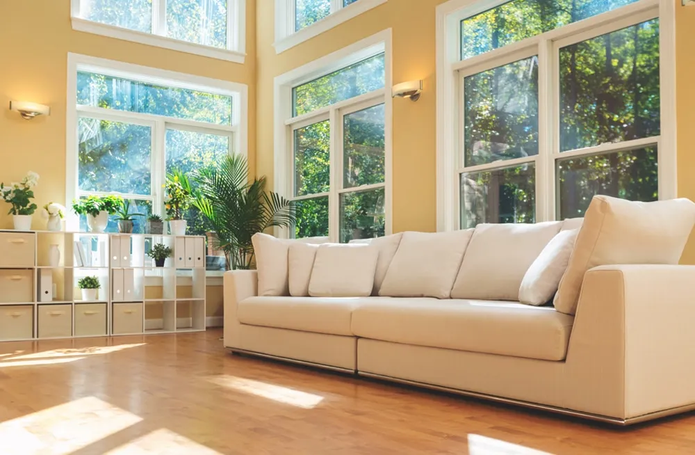 window film richardson tx